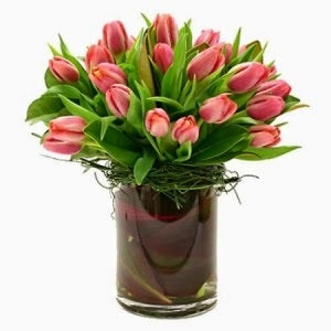 Temporada de tulipanes, bueno, bonito y barato?